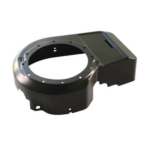 Carter BRIGGS ET STRATTON 593992