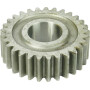 Carter CARRARO CI117180