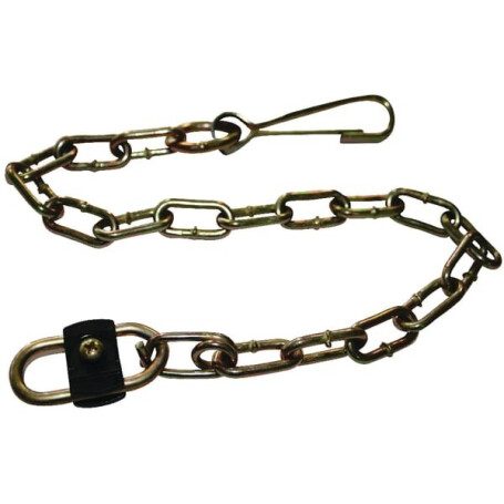 Chaîne BONDIOLI/6PAVESI 252000101R02