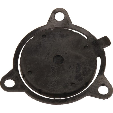 Clapet BRIGGS ET STRATTON 197755GS