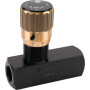 Clapet TOGNELLA FT257512