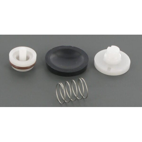 Clapet SHURFLO DIP9437405