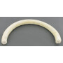 Corde GLASER DANA 36883108N