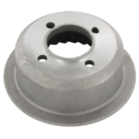 Coupelle de lanceur LOMBARDINI 6961014