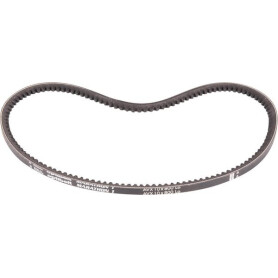 Courroie GOLDONI 0L2440022
