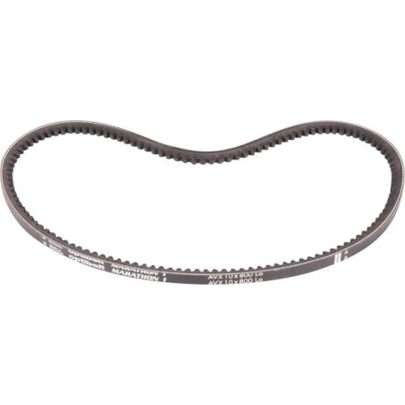 Courroie GOLDONI 0L2440022