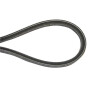 Courroie MURRAY N309175
