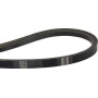 Courroie MURRAY N300842