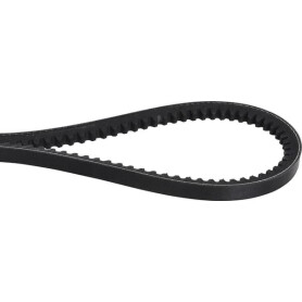 Courroie OPTIBELT AVX101230
