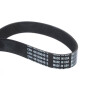 Courroie CASE IH 48166040