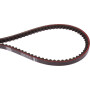 Courroie OPTIBELT XPB1700XEP