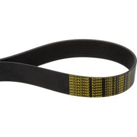 Courroie RABE MM51550001