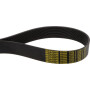 Courroie RABE MM51550001