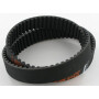 Courroie OPTIBELT 8M125625