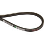 Courroie MITSUBISHI MD079696