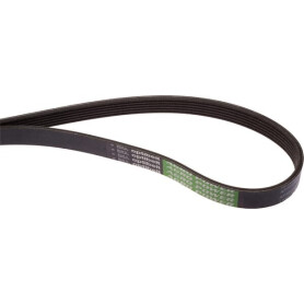 Courroie nervurée OPTIBELT 87309963AB
