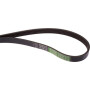 Courroie nervurée OPTIBELT 87309963AB