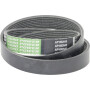 Courroie nervurée OPTIBELT 84412878AB