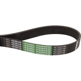 Courroie nervurée OPTIBELT 87531428AB