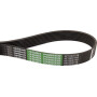 Courroie nervurée OPTIBELT 87531428AB