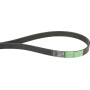 Courroie nervurée OPTIBELT 7700050644AB