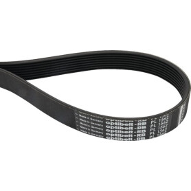 Courroie nervurée OPTIBELT 8PL1219