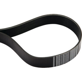Courroie nervurée 12J559 OPTIBELT 12PJ559