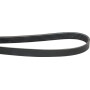 Courroie nervurée 6PK1120 OPTIBELT 6PK1120