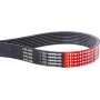 Courroie nervurée 8PK2450 OPTIBELT 8PK2450