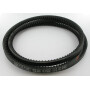 Courroie SITREX 600853