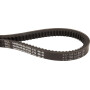 Courroie OPTIBELT BX17750