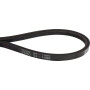 Courroie trapezoidale TORO 541390
