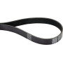 Courroie trapézoïdale CLAAS 6005031035