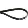 Courroie trapézoïdale CLAAS 7700062257