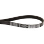Courroie trapézoïdale CNH 84344776