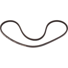 Courroie trapézoïdale GOLDONI 06330003