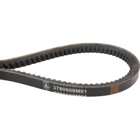 Courroie trapézoïdale MASSEY FERGUSON 3780608M91