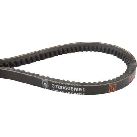 Courroie trapézoïdale MASSEY FERGUSON 3780608M91