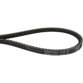 Courroie trapézoïdale MASSEY FERGUSON 3808705M1