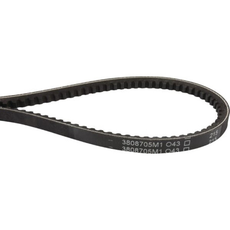Courroie trapézoïdale MASSEY FERGUSON 3808705M1