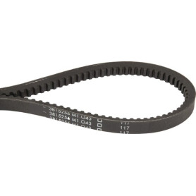 Courroie trapézoïdale MASSEY FERGUSON 3815256M1