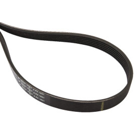 Courroie trapézoïdale MASSEY FERGUSON 4281725M1