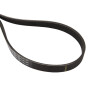 Courroie trapézoïdale MASSEY FERGUSON 4281725M1