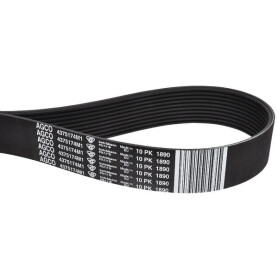Courroie trapézoïdale MASSEY FERGUSON 4375174M1