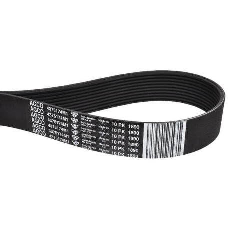 Courroie trapézoïdale MASSEY FERGUSON 4375174M1