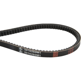 Courroie trapézoïdale MASSEY FERGUSON 5016260M1