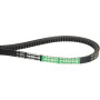 Courroie trapézoïdale OPTIBELT 3780604M91AB1