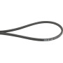 Courroie trapézoïdale TORO 1077724