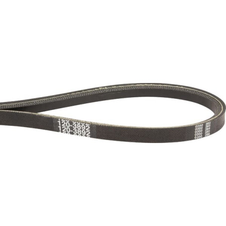 Courroie trapézoïdale TORO 1203892