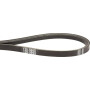 Courroie trapézoïdale TORO 1203892